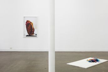 Contemporary art exhibition Alicia Frankovich The female has undergone several manifestations at Starkwhite Auckland New Zealand
