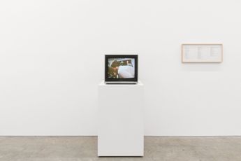 Contemporary art exhibition Faith Wilding Inside outside alive in a shell at Anat Ebgi Tribecca United States