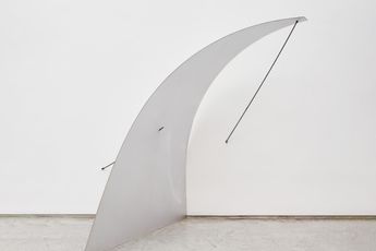 Iole De Freitas contemporary artist