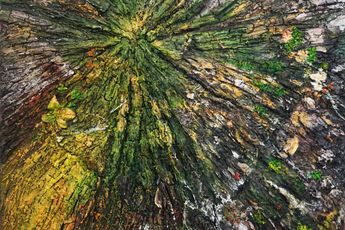 Tamara Haddad contemporary artist