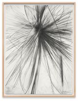 OPHRYS 9092 by Sterling Ruby contemporary artwork works on paper