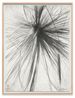 OPHRYS 9092 by Sterling Ruby contemporary artwork Works on Paper