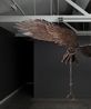 Wings Baanan Series 3 by Alfredo  Isabel Aquilizan contemporary artwork Sculpture