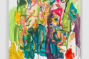 Hayley Tompkins