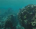 The Ditch by Bruno Gadenne contemporary artwork Painting