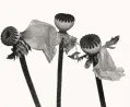 Single Oriental Poppy A by Irving Penn contemporary artwork Photography