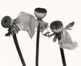 Single Oriental Poppy A by Irving Penn contemporary artwork photography