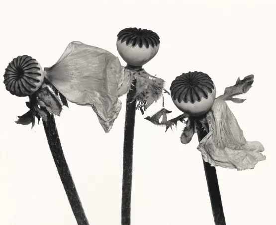 アート・デザイン・音楽 Irving Penn Portraits Portraits — The Irving Penn Foundation｜アート・デザイン・音楽