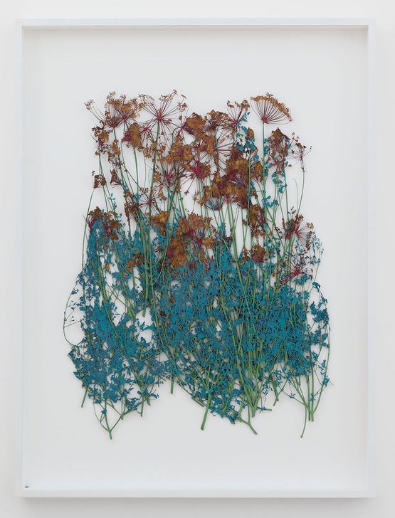 Papiers de Provence by Lionel Esteve contemporary artwork Painting