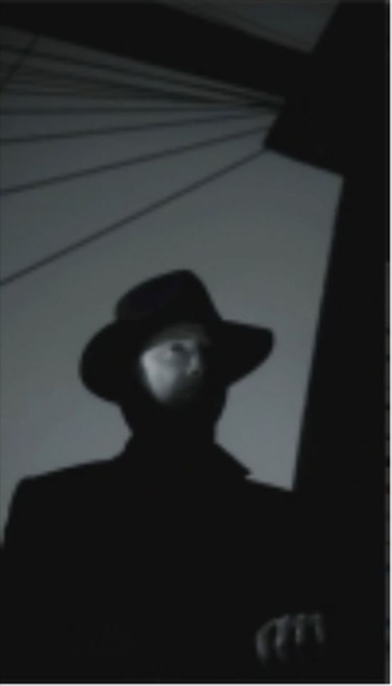 Sean Penn (video portrait), 2006 by Robert Wilson | Ocula