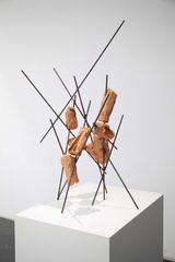 Habitat No. 1 by Wing Po So contemporary artwork sculpture