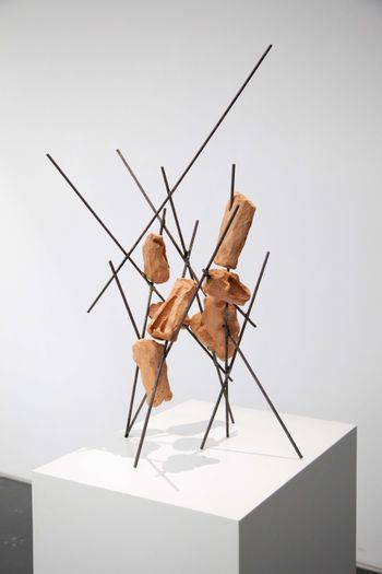 Habitat No. 1 by Wing Po So contemporary artwork sculpture