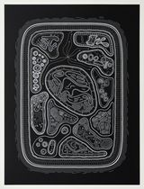 Zoofolium 03 by Golan Levin contemporary artwork drawing nft