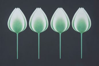 Olivia Fraser contemporary artist