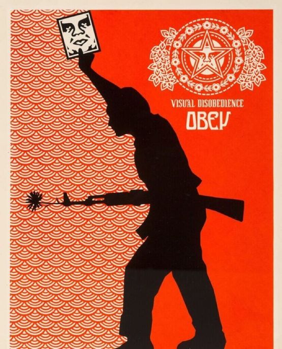 Visual Disobedience by Shepard Fairey contemporary artwork Works on Paper
