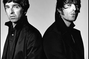 David Bailey