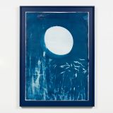 Sun field - plant community I by Tue Greenfort contemporary artwork works on paper