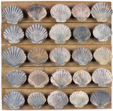 Untitled 25 scallop shells by Rosalie Gascoigne contemporary artwork mixed media