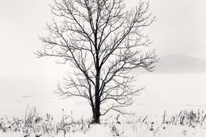 Michael Kenna