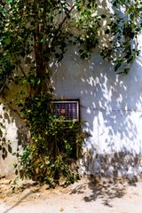 Eau de Vie 1218 by Georges Yammine contemporary artwork photography