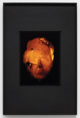 Eternal Ephemera Body-Mind II by Chen Zhe contemporary artwork photography