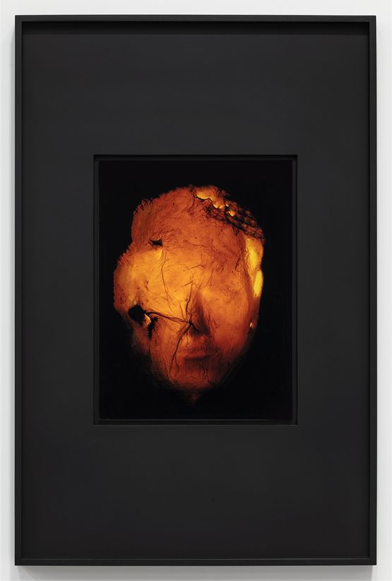 Eternal Ephemera Body-Mind II by Chen Zhe contemporary artwork Photography