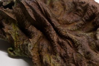 Contemporary art exhibition Samim Alam Beg Vivek V C What Remains Tender at Vida Heydari Contemporary Pune India