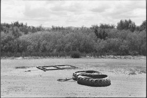Zoe Leonard