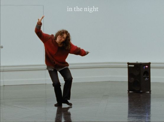 The Invisible Worm by Rosalind Nashashibi contemporary artwork Moving Image