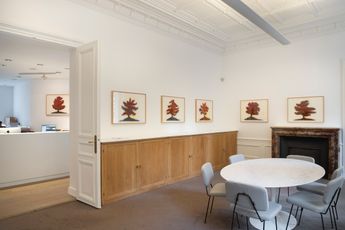 Contemporary art exhibition David Nash Trees at Galerie Lelong 13 Rue de Teheran Paris France