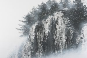Hiroshi Senju
