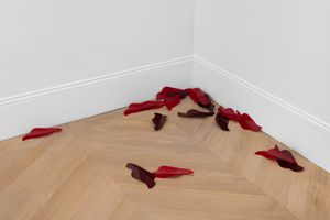 Martin Boyce