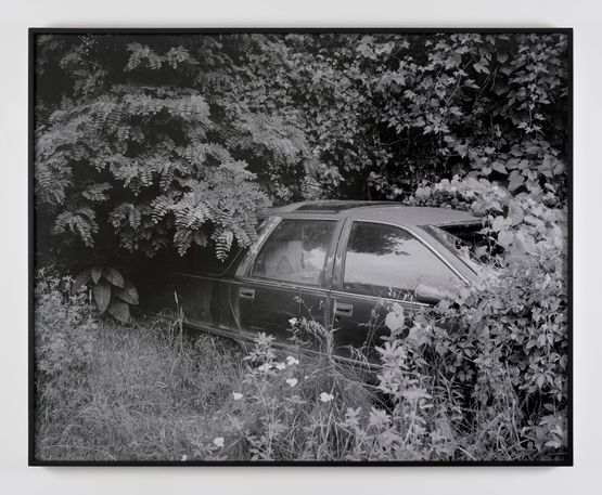 Elsewhere by Willie Doherty contemporary artwork Photography