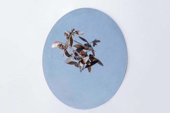 ironbark blossoms by Rebecca Selleck contemporary artwork Sculpture