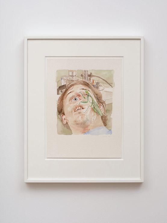 Untitled by Peter Stichbury contemporary artwork Works on Paper