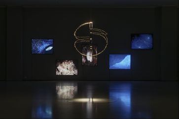 Chen Zhe contemporary artist
