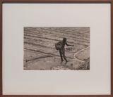 Farmer in field by Lionel Wendt contemporary artwork photography
