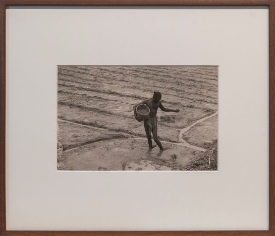 Farmer in field by Lionel Wendt contemporary artwork Photography