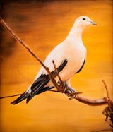 Island Dove by Christopher Bassi contemporary artwork painting