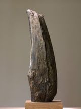 En devenir by Yves Dana contemporary artwork sculpture
