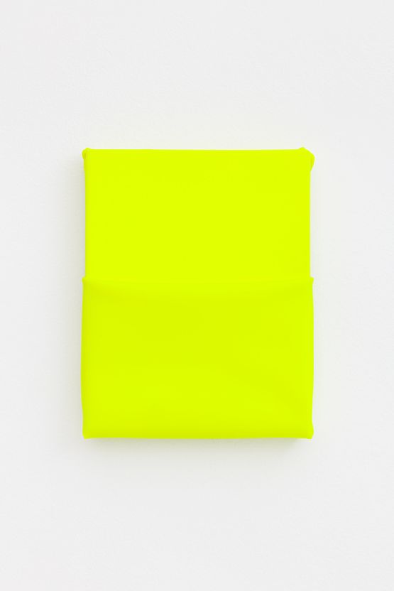 Yellow one da serie from the series Plastic paintings by Estela Sokol contemporary artwork Sculpture
