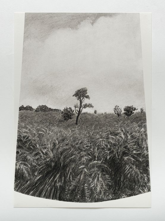 Horton plains 3 by Muhanned Cader contemporary artwork Works on Paper