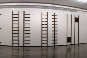 Cildo Meireles