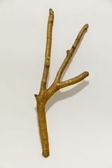 Topographic Specimens 11 by Adip Dutta contemporary artwork sculpture