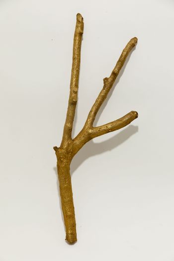Topographic Specimens 11 by Adip Dutta contemporary artwork sculpture