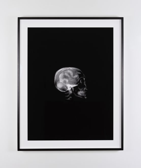 Untitled Skull by Dorothy Cross contemporary artwork Photography