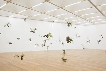Daniel Steegmann Mangrane contemporary artist