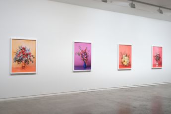 Contemporary art exhibition Ann Shelton an invitation to dance at Two Rooms Auckland New Zealand