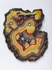 Fossil Psychic_for Christa Stucco Marmo by Kerstin Bratsch contemporary artwork Painting