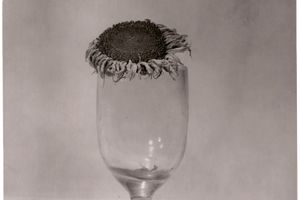 Walter Schels